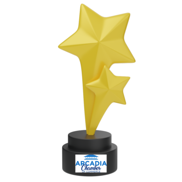 Movie award with stars icon.