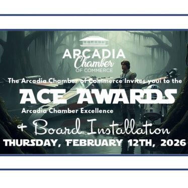 Ace Awards ticket landscape with Luke Skywalker and R2D2 in the background.