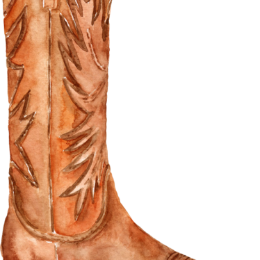Brown cowboy boot